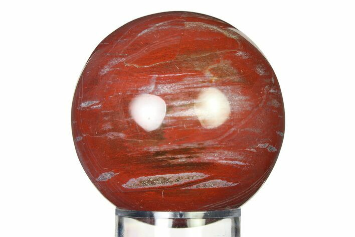 Colorful Petrified Wood (Araucaria) Sphere - Madagascar #317309